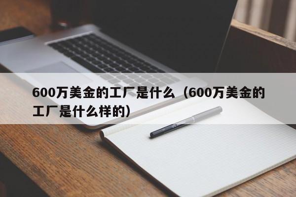 600万美金的工厂是什么（600万美金的工厂是什么样的）