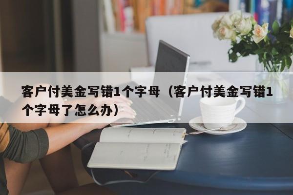 客户付美金写错1个字母（客户付美金写错1个字母了怎么办）