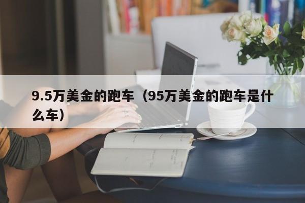 9.5万美金的跑车（95万美金的跑车是什么车）