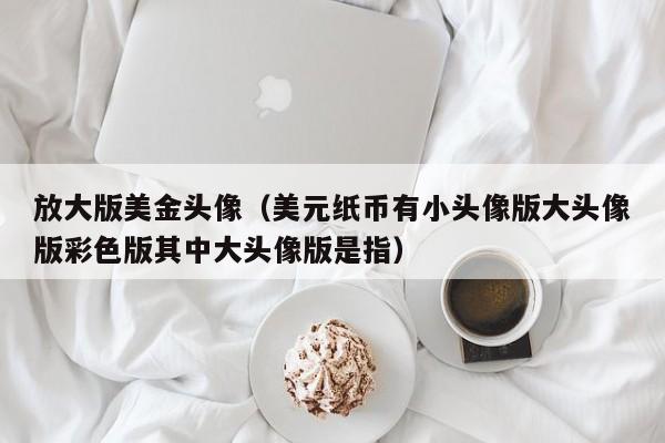 放大版美金头像（美元纸币有小头像版大头像版彩色版其中大头像版是指）