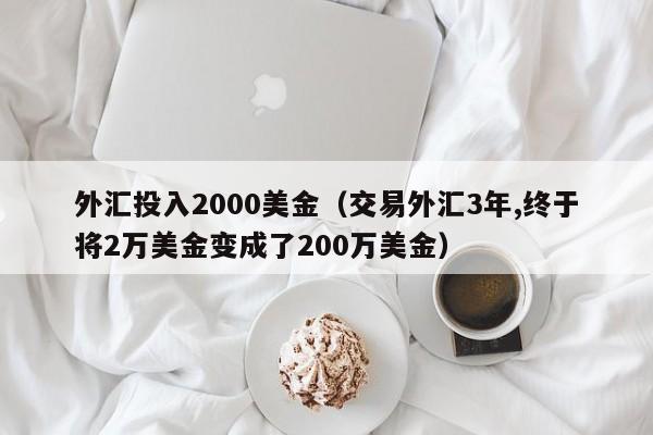 外汇投入2000美金（交易外汇3年,终于将2万美金变成了200万美金）