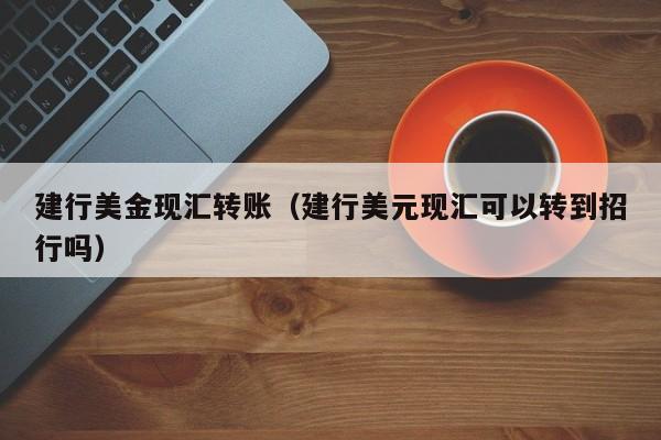 建行美金现汇转账（建行美元现汇可以转到招行吗）