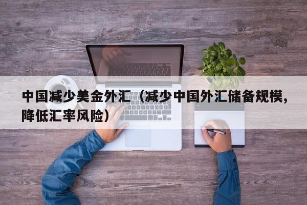 中国减少美金外汇（减少中国外汇储备规模,降低汇率风险）