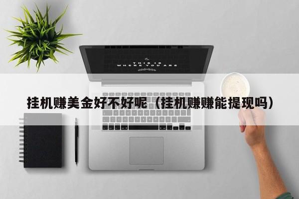 挂机赚美金好不好呢（挂机赚赚能提现吗）