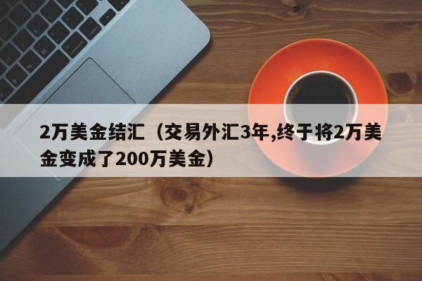 2万美金结汇（交易外汇3年,终于将2万美金变成了200万美金）