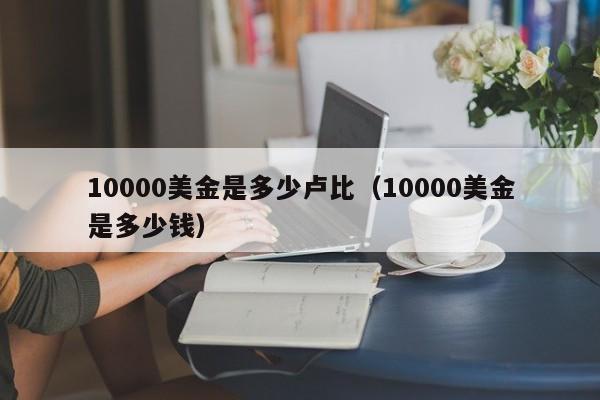 10000美金是多少卢比（10000美金是多少钱）