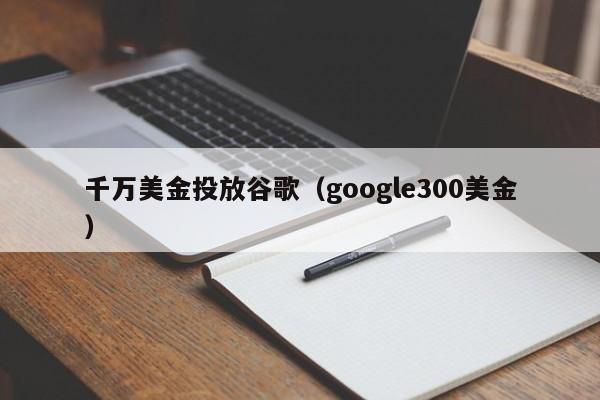 千万美金投放谷歌（google300美金）