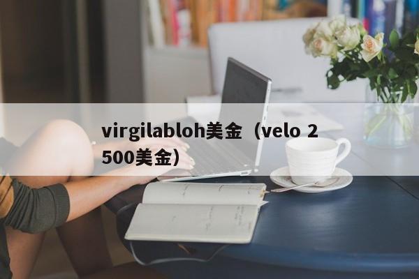 virgilabloh美金（velo 2500美金）