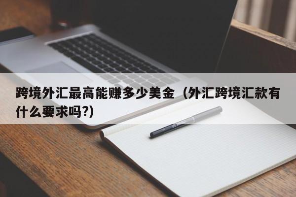 跨境外汇最高能赚多少美金（外汇跨境汇款有什么要求吗?）