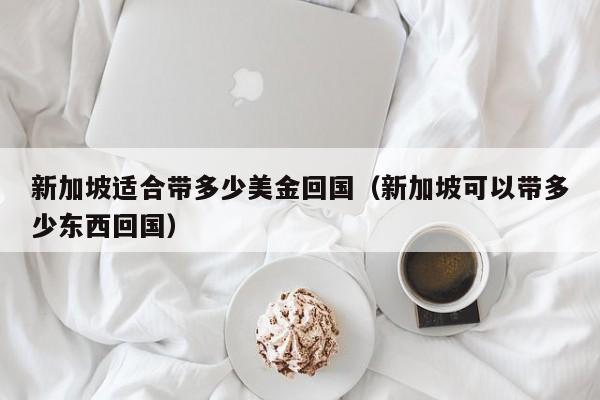 新加坡适合带多少美金回国（新加坡可以带多少东西回国）
