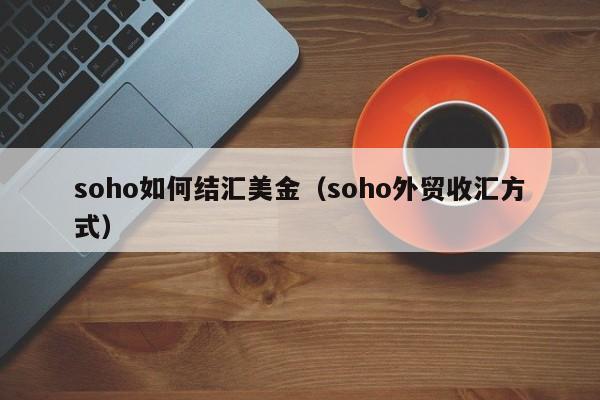 soho如何结汇美金（soho外贸收汇方式）