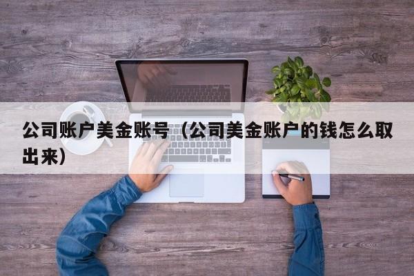 公司账户美金账号（公司美金账户的钱怎么取出来）