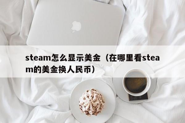 steam怎么显示美金（在哪里看steam的美金换人民币）