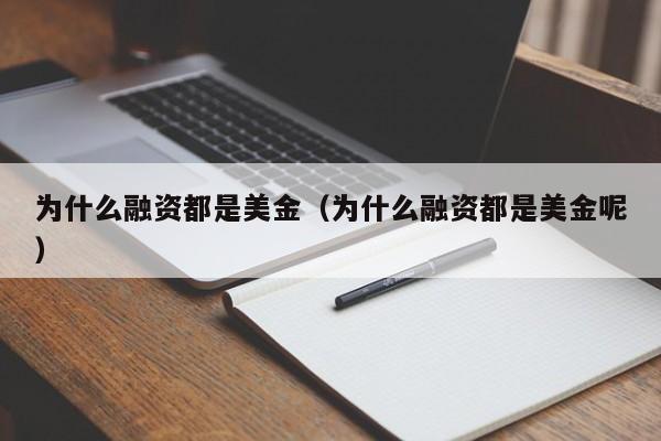 为什么融资都是美金（为什么融资都是美金呢）