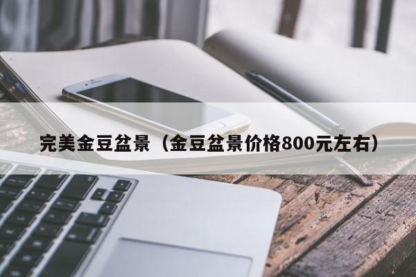 完美金豆盆景（金豆盆景价格800元左右）