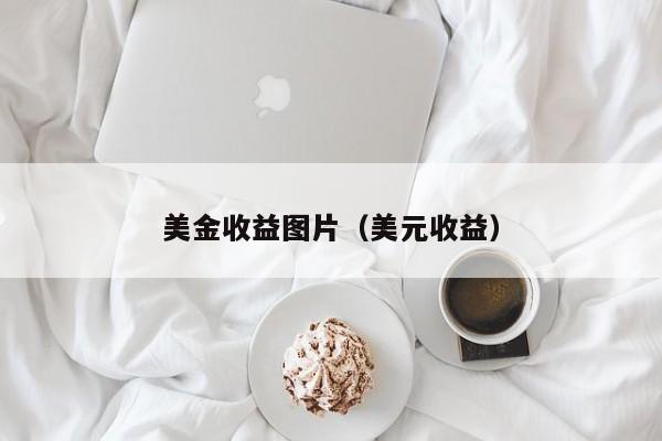 美金收益图片（美元收益）