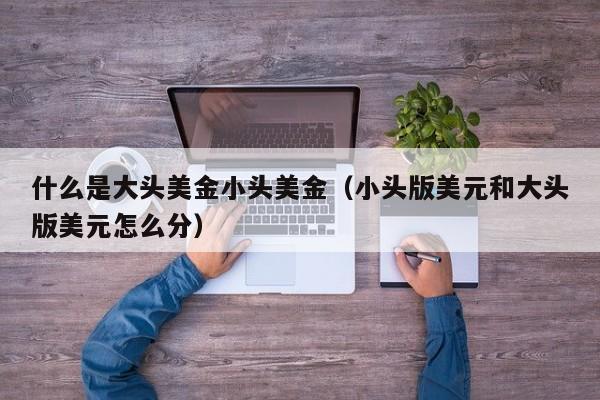 什么是大头美金小头美金（小头版美元和大头版美元怎么分）