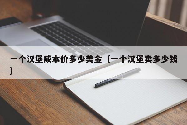 一个汉堡成本价多少美金（一个汉堡卖多少钱）