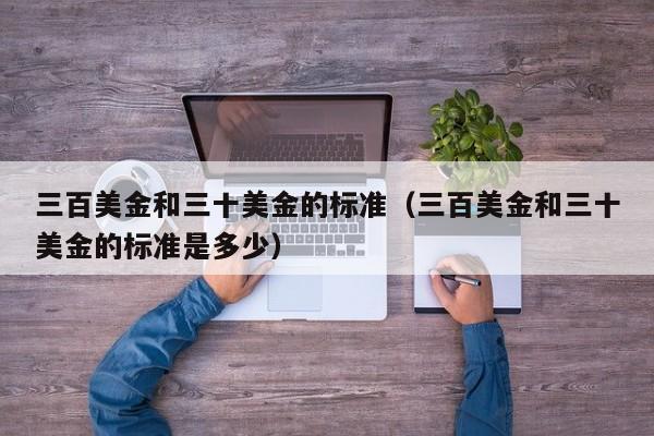 三百美金和三十美金的标准（三百美金和三十美金的标准是多少）