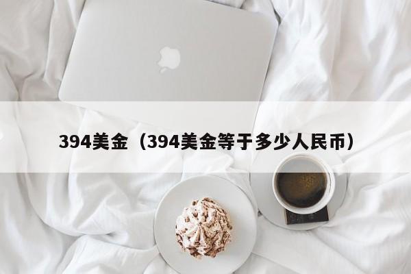 394美金（394美金等于多少人民币）