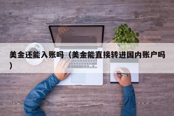 美金还能入账吗（美金能直接转进国内账户吗）