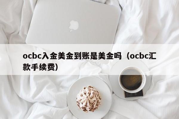 ocbc入金美金到账是美金吗（ocbc汇款手续费）