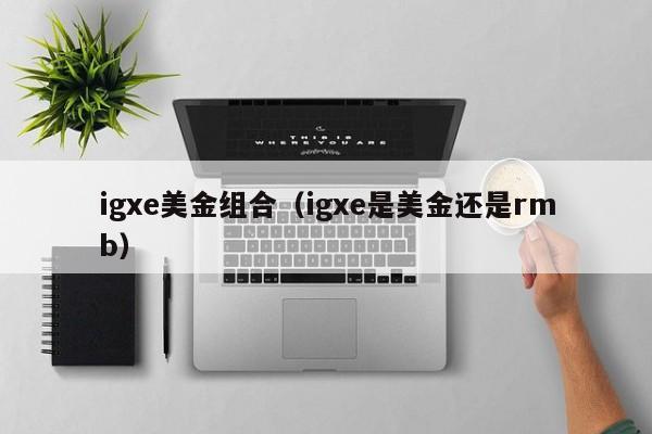 igxe美金组合（igxe是美金还是rmb）