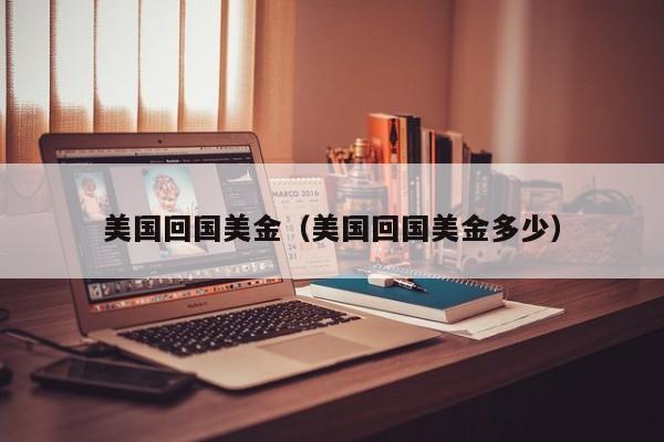 美国回国美金（美国回国美金多少）