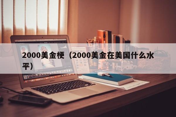 2000美金梗（2000美金在美国什么水平）