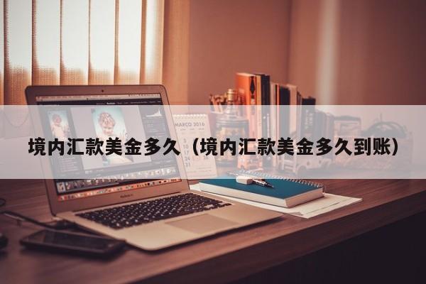 境内汇款美金多久（境内汇款美金多久到账）