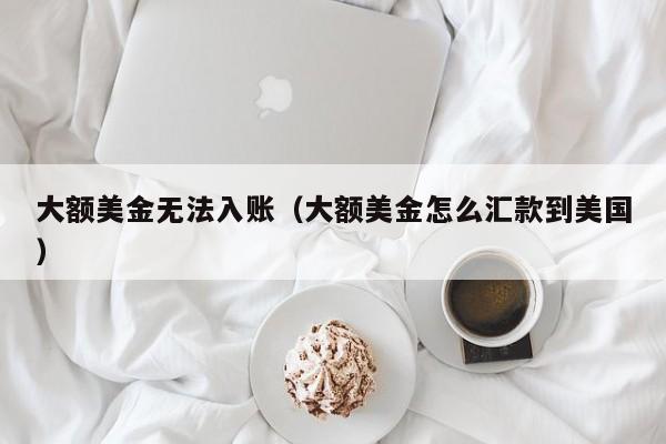 大额美金无法入账（大额美金怎么汇款到美国）