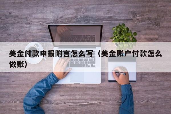 美金付款申报附言怎么写（美金账户付款怎么做账）