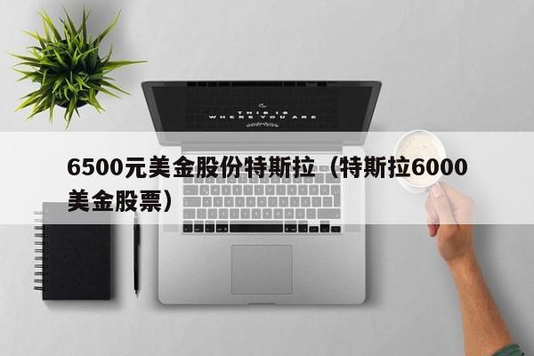 6500元美金股份特斯拉（特斯拉6000美金股票）