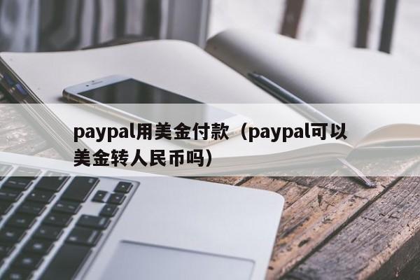 paypal用美金付款（paypal可以美金转人民币吗）