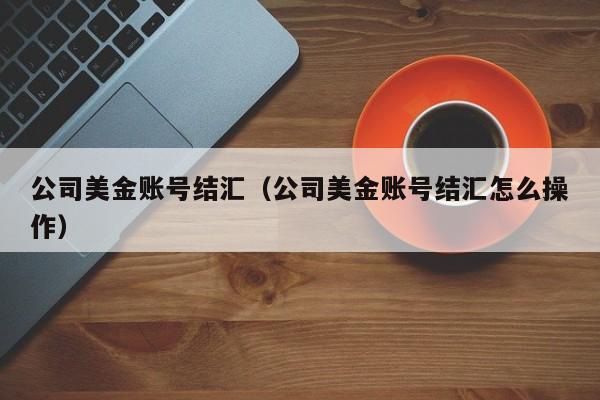 公司美金账号结汇（公司美金账号结汇怎么操作）