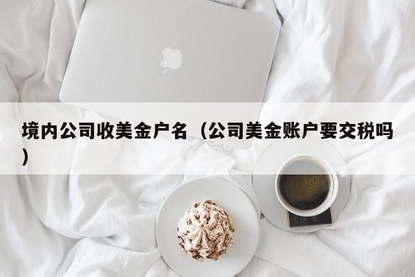 境内公司收美金户名（公司美金账户要交税吗）
