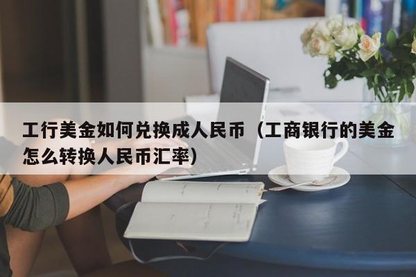 工行美金如何兑换成人民币（工商银行的美金怎么转换人民币汇率）