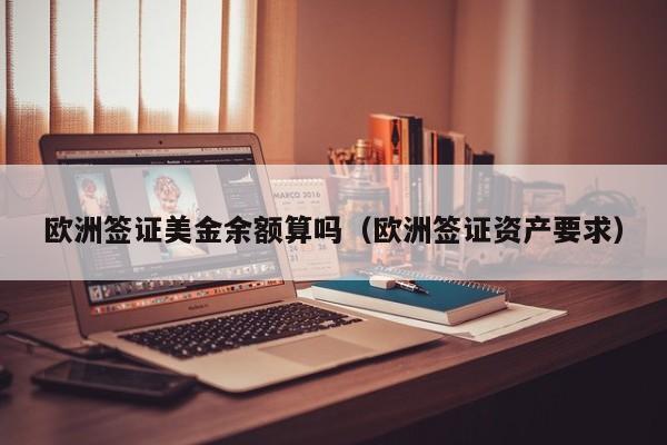 欧洲签证美金余额算吗（欧洲签证资产要求）