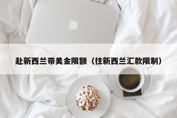 赴新西兰带美金限额（往新西兰汇款限制）