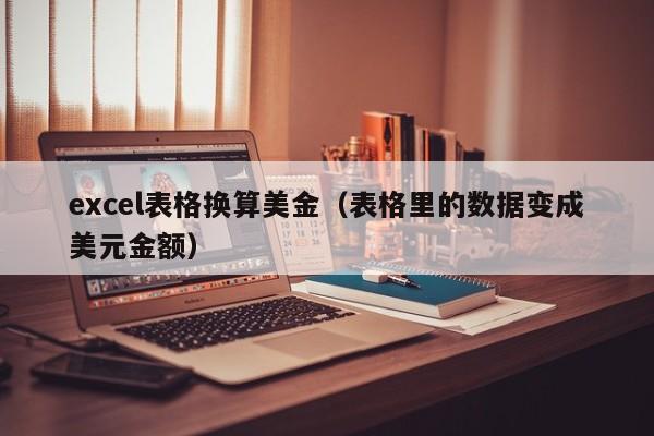 excel表格换算美金（表格里的数据变成美元金额）