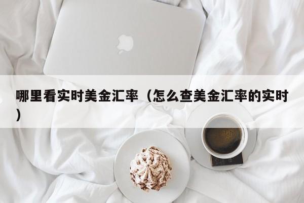 哪里看实时美金汇率（怎么查美金汇率的实时）