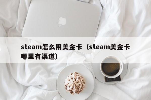 steam怎么用美金卡（steam美金卡哪里有渠道）