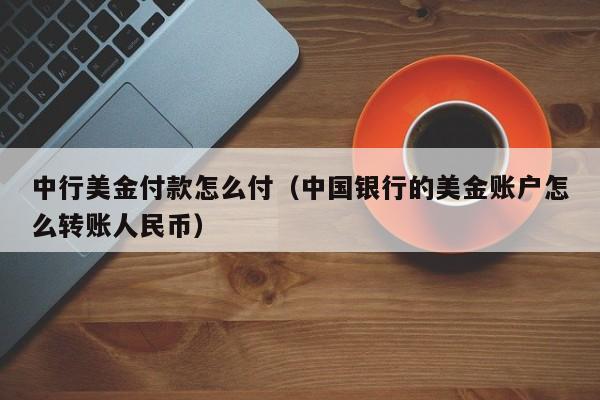 中行美金付款怎么付（中国银行的美金账户怎么转账人民币）