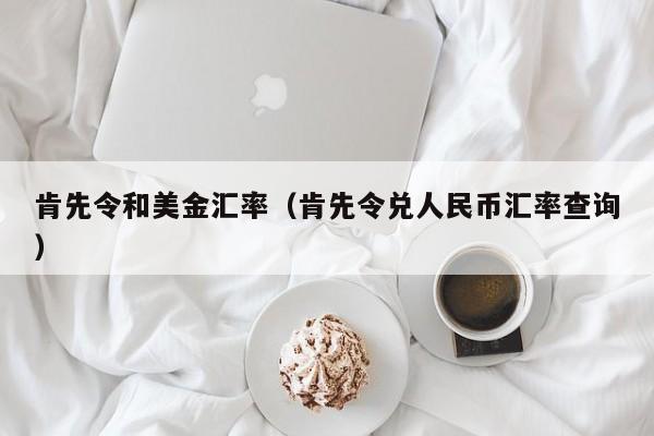 肯先令和美金汇率（肯先令兑人民币汇率查询）