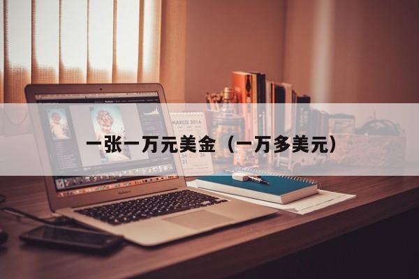 一张一万元美金（一万多美元）