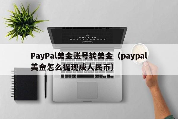 PayPal美金账号转美金（paypal美金怎么提现成人民币）