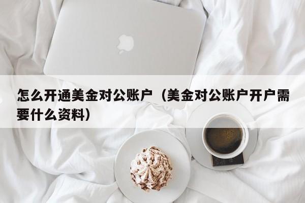 怎么开通美金对公账户（美金对公账户开户需要什么资料）