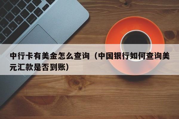 中行卡有美金怎么查询（中国银行如何查询美元汇款是否到账）