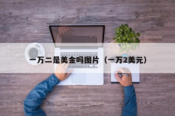 一万二是美金吗图片（一万2美元）