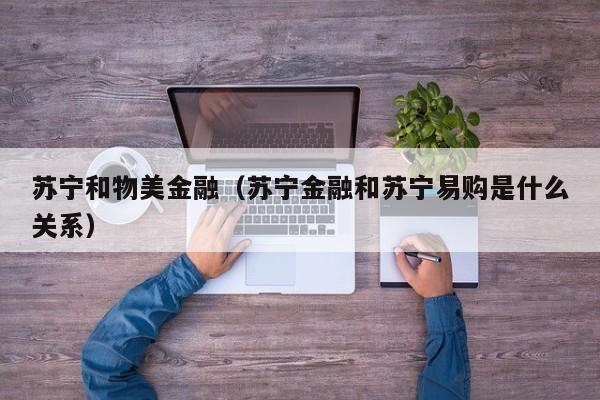 苏宁和物美金融（苏宁金融和苏宁易购是什么关系）